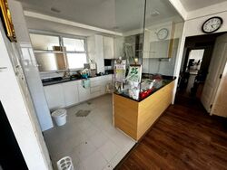 Odeon Katong Shopping Complex (D15), Apartment #431102281